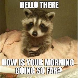 Meet your Posher, Cynthia